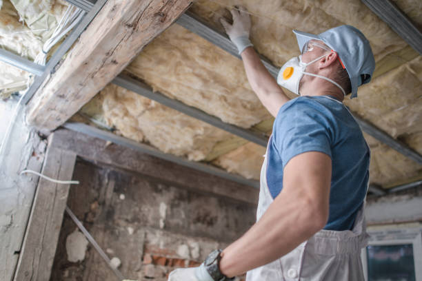 Best Residential Insulation in Houston, TX